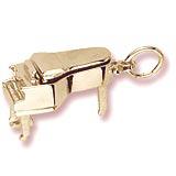 Rembrandt Music and Dance Charms