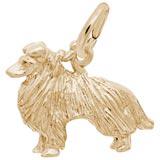 Collie Dog Charms