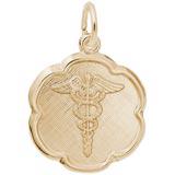Caduceus Charms