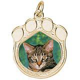 Cat Paw PhotoArt Charm
